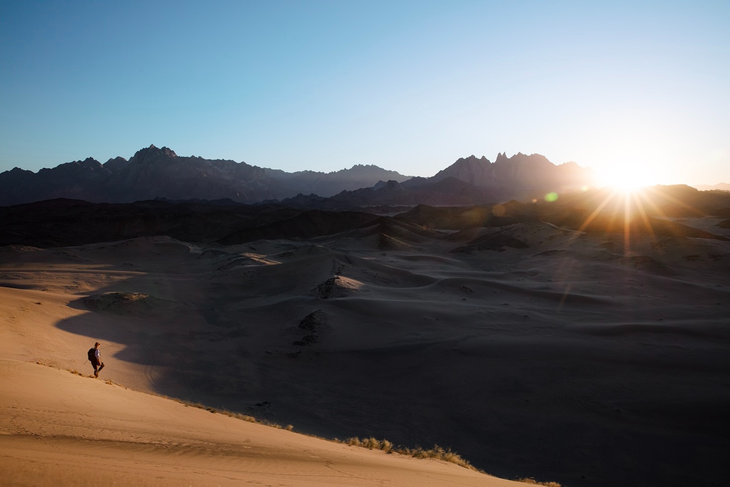 Exploring the Benefits of Customized Journeys